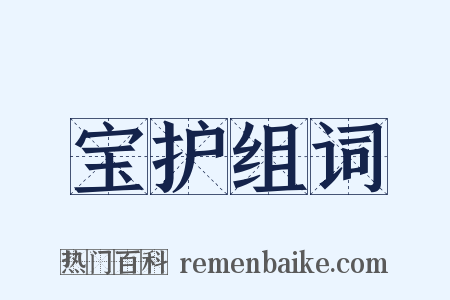 宝护组词是什么意思的图片